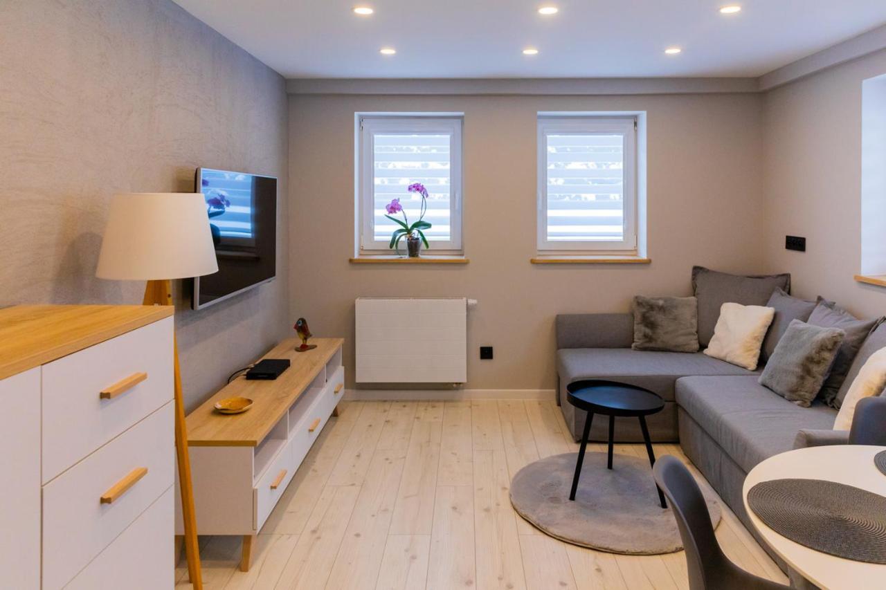 Salamandra Apartment *